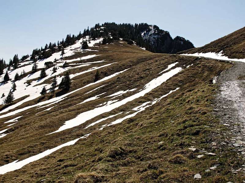 Der Grat führt zum Gipfel von Gonzen