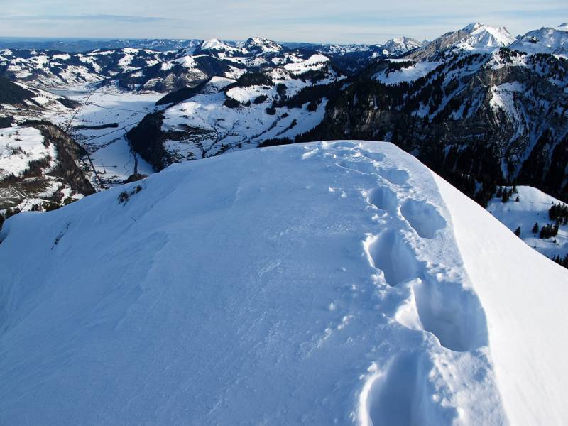 Viel Schnee auf dem Gipfel von Roggenstock