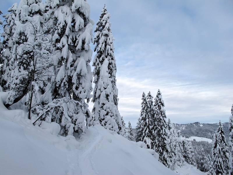 Üppiger Start in den Winter von 2012-2013