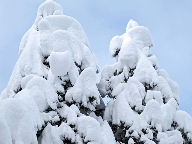 Image Skitour Laucherenstöckli