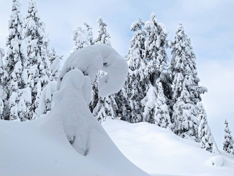 Die Skulpturen von Winter