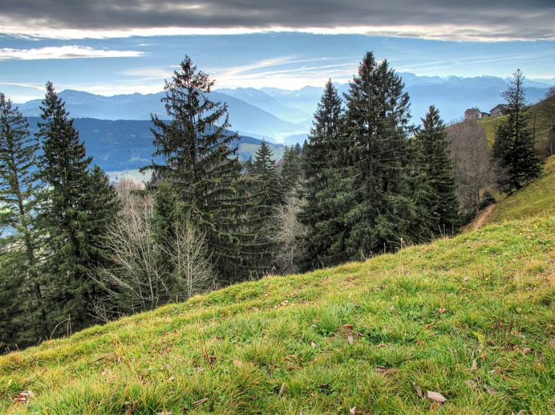 Immer noch fast grüne Wiesen Ende November