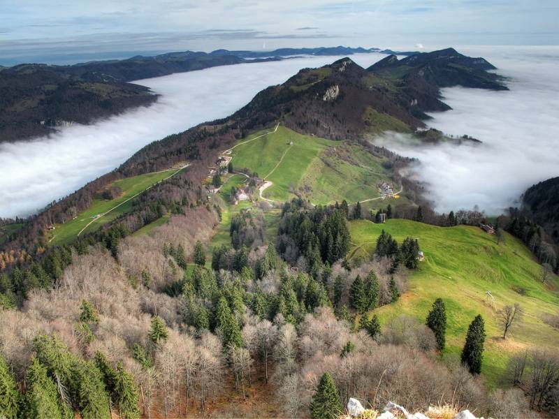 Jura ragt aus Nebel hervor. Unten sind die Gebäude von Balmberg