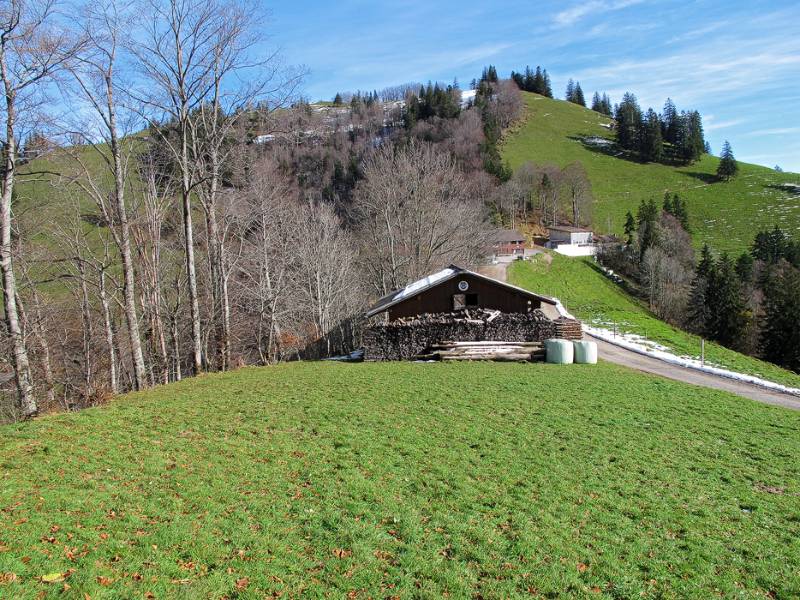 Blick Richtung Tierhag und Schnebelhorn