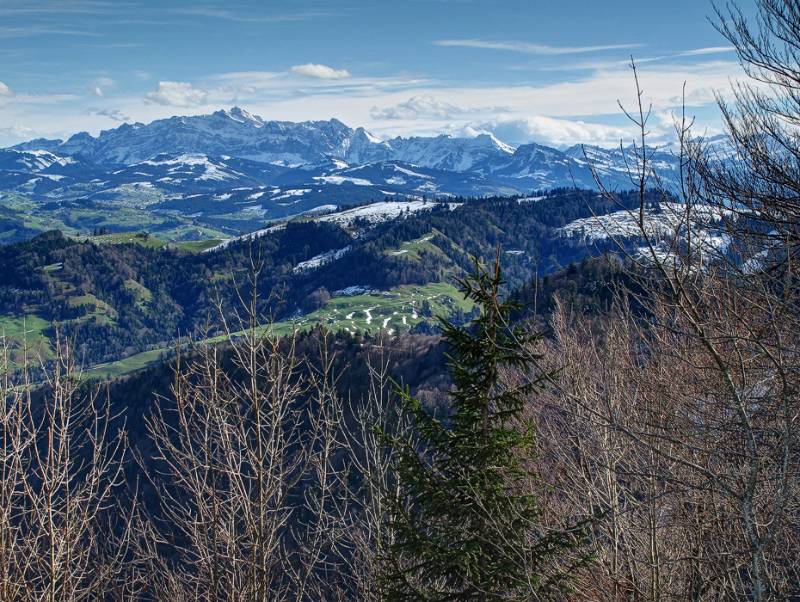 Thurgau mit Säntis am Horizont