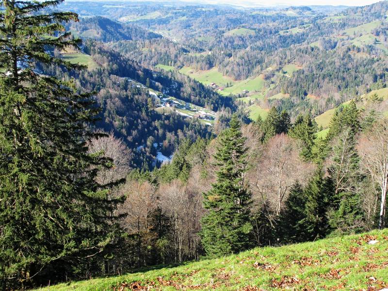 Spätherbst in Zürcher Oberland