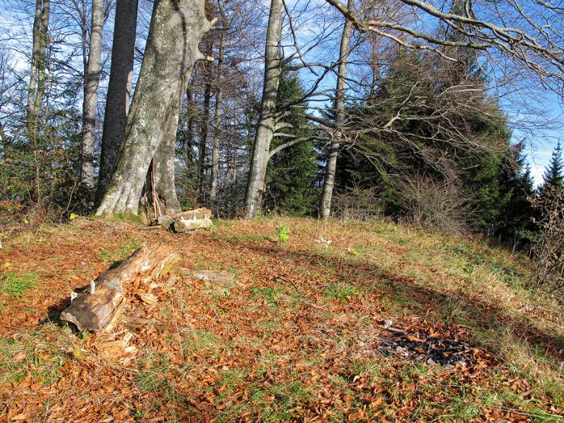 Viele braune Blätter auf dem Roten