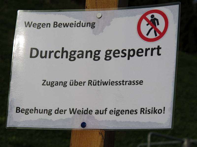 Gesperrt. Wilde, gefährliche Tiere auf der Weide