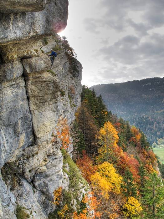 Sehr schöne Waldfarben unten