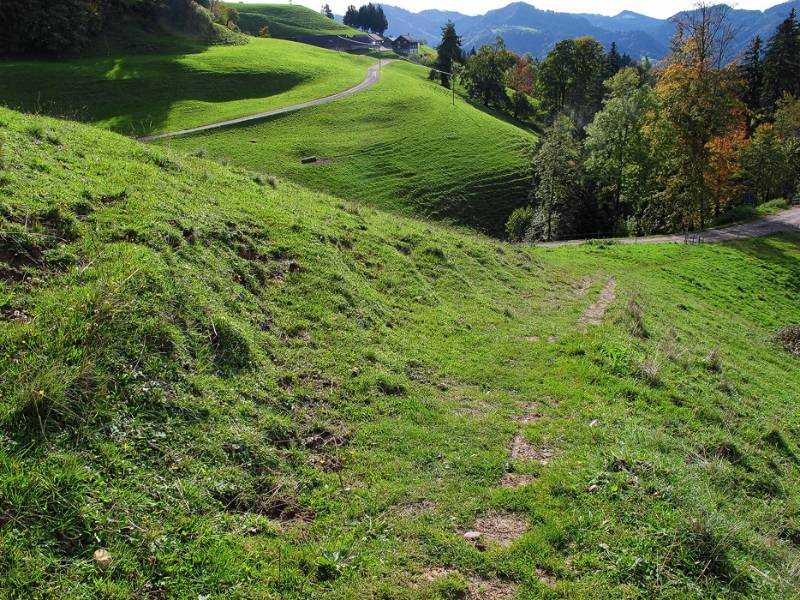 Unzählige Routen und Wanderwege führen zum Hörnli