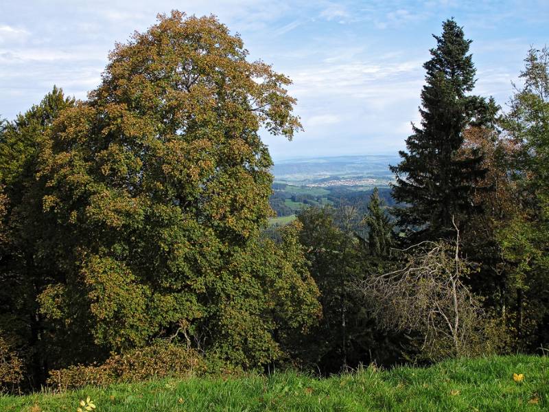 Blick Richtung Norden