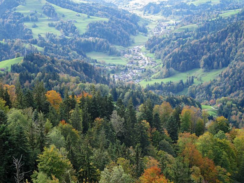 Steg im Tösstal