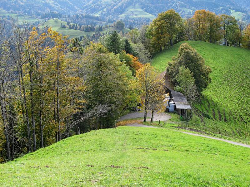 Hügellandschaft um Hörnli