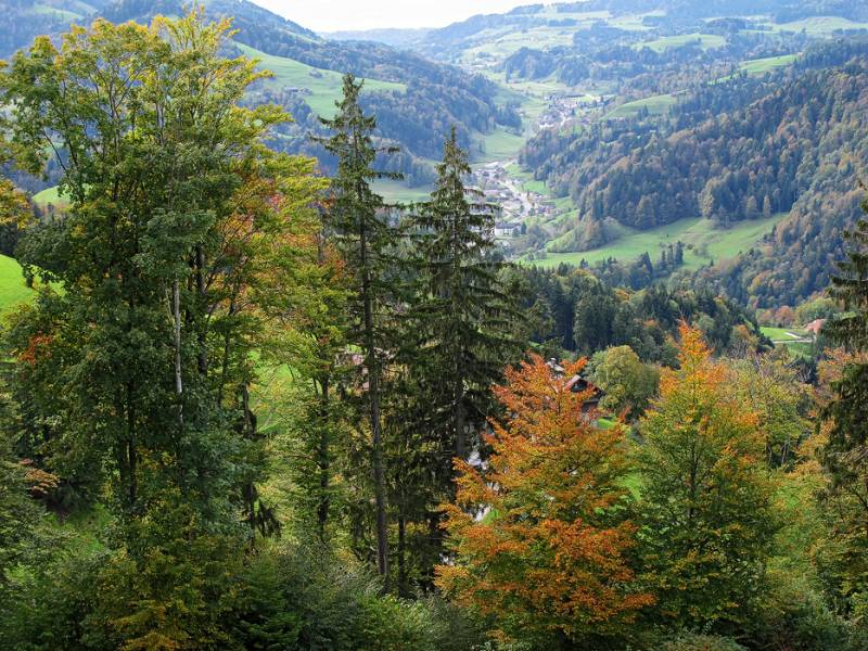 Herbst im Tösstal