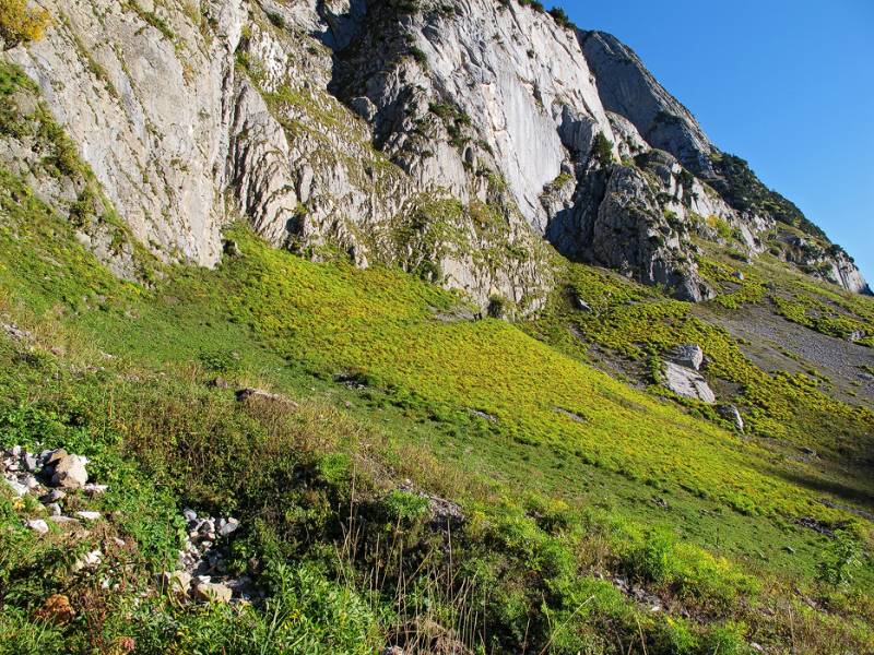 Gemütlicher Wanderweg entlang der Schafbergwand