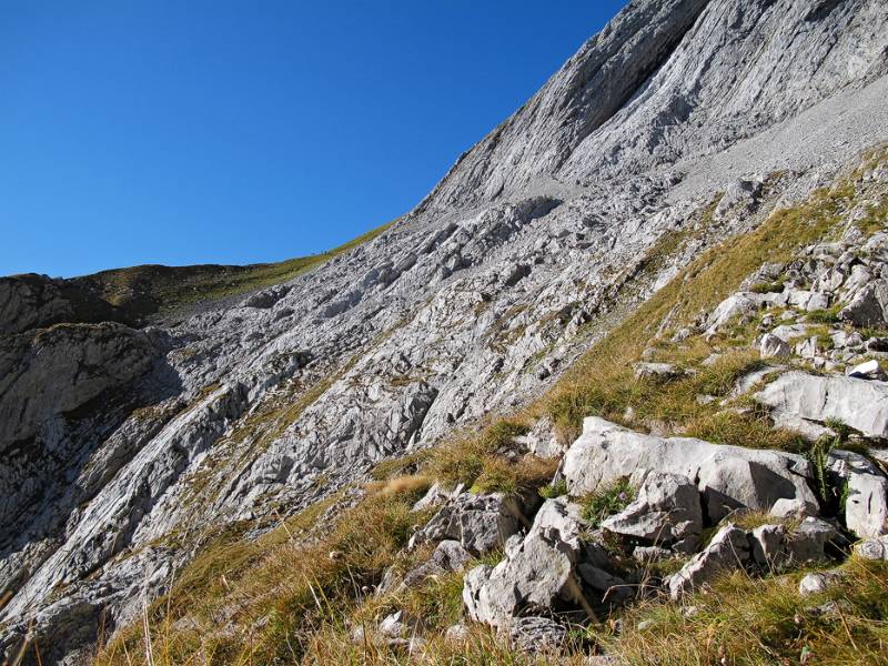 Schafberg Sattel ist auch bereits in Sicht