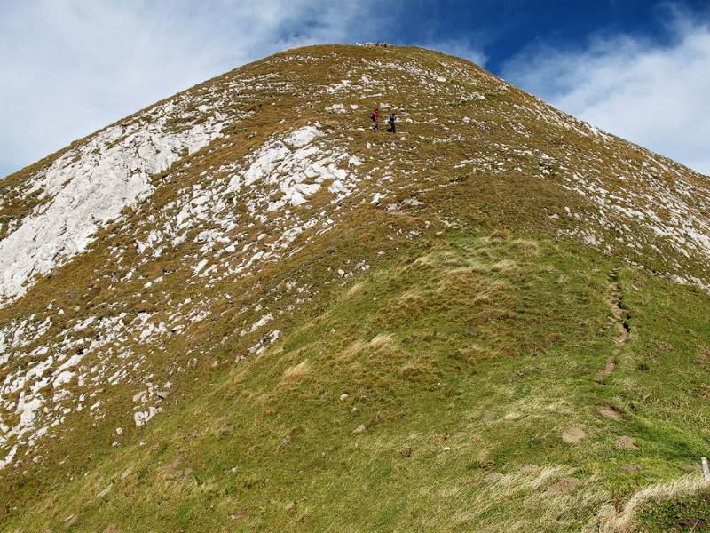 Die breite Südflanke von Wildhuser Schafberg