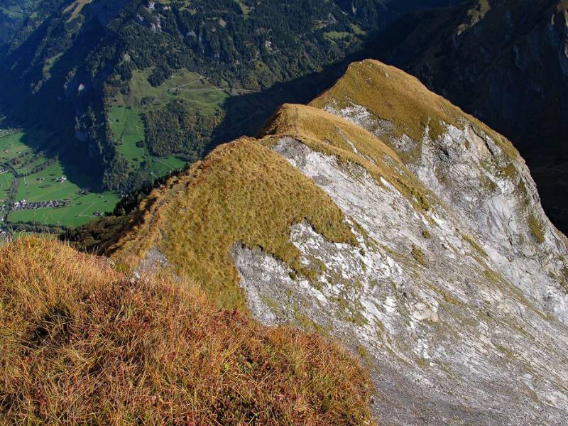 Blick zurück