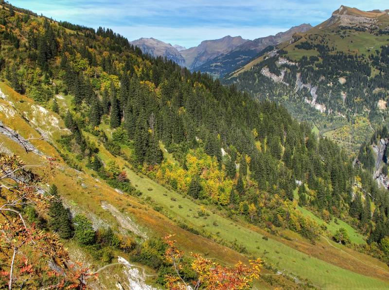 Die ersten Farben von Herbst