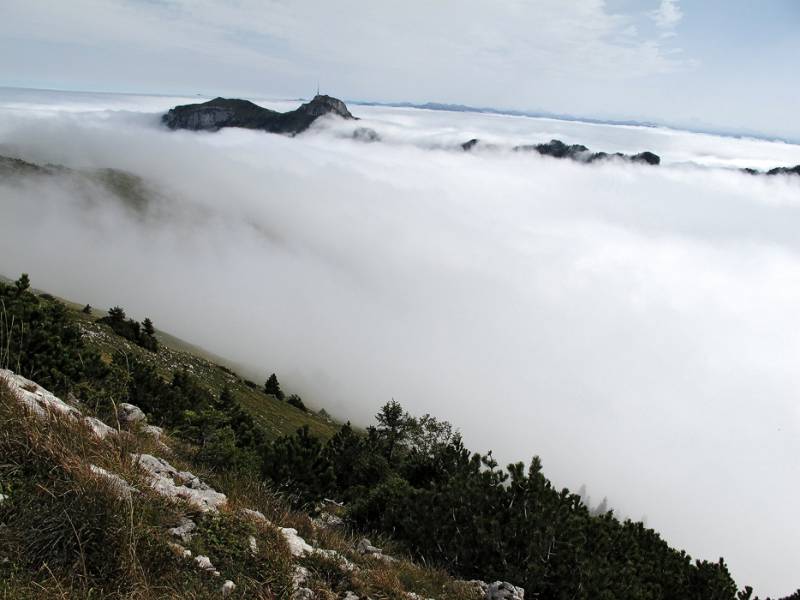 Die Insel von Hoher Kasten im Nebelmeer