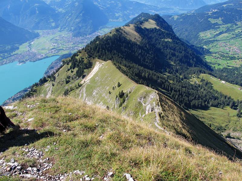 Blick von Suggiture entlang Brienzergrat Richtung Interlaken