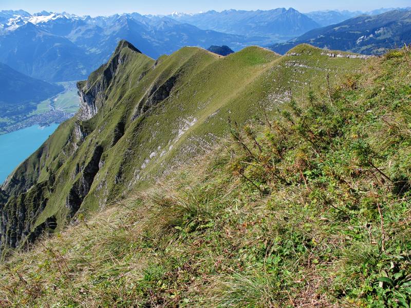 Der grüne Zahn am Ende des Grats ist Suggiture. Blick vom