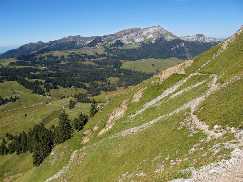 Wanderweg entlang der Flanke des Brienzergrats