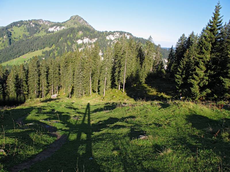 Lange Schatten am Morgen. Vorne ist Roggenstock