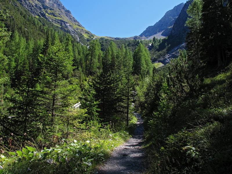 Schöner, schattiger Wanderweg zur Lischanahütte