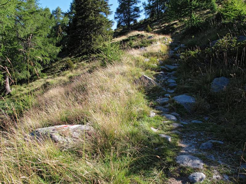 Schöner Wanderweg noch mit schattigen Abschnitten