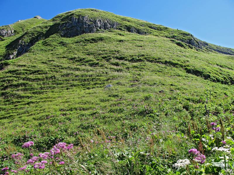 Die Gipfelflanke von Rautispitz