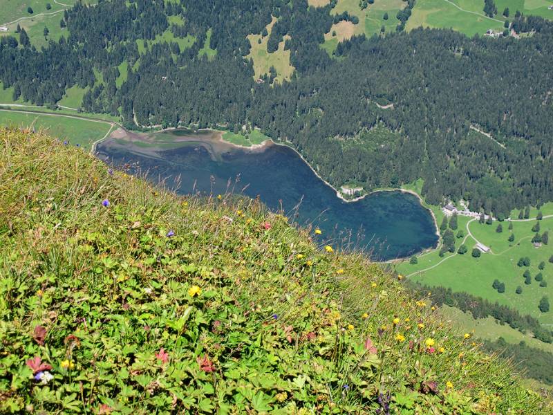 Obersee von Rautispitz aus