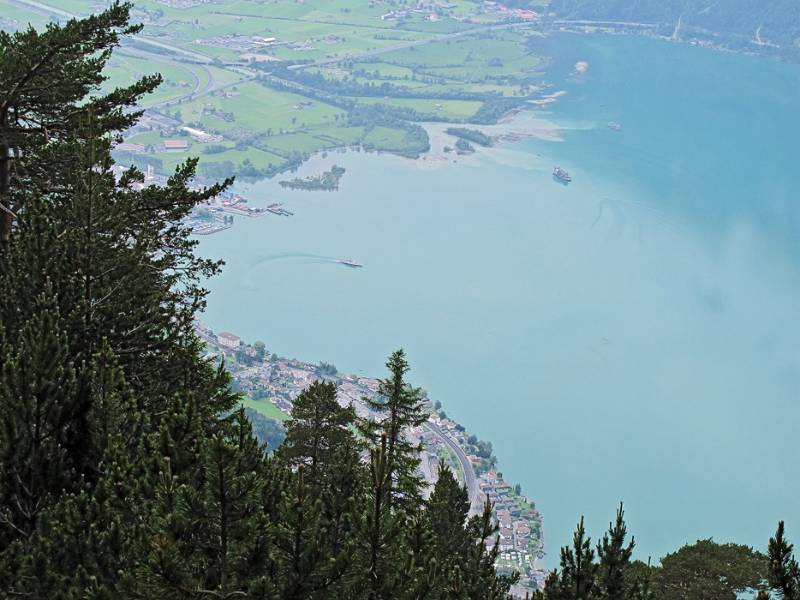 Urnersee mit Reuss Mündung