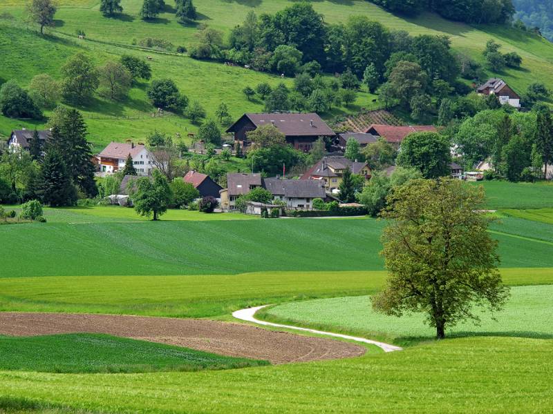 Die grünen Felder am Fuss von Lägern