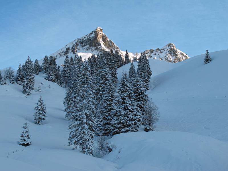 Frostige Landschaft - kalt ist es aber nicht, ca. -5