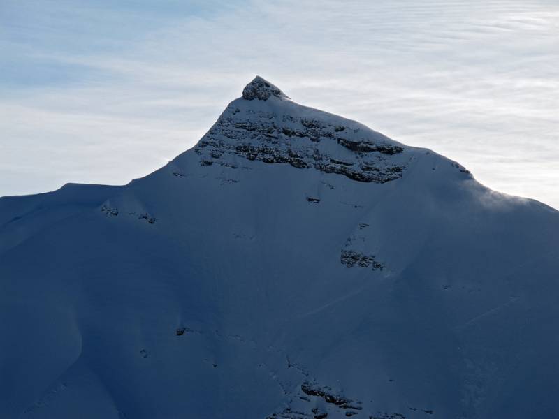 Schöne, scharfe Spitze, wahrscheinlich Mieserenstock