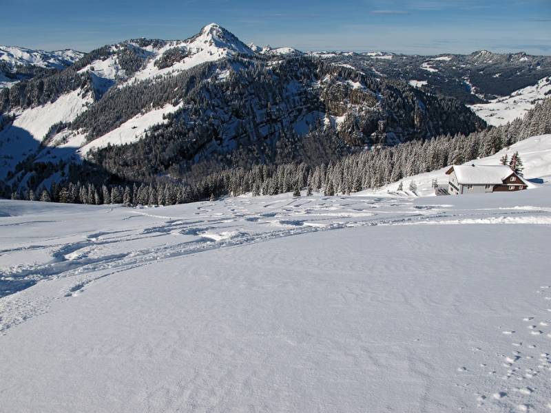 Drüsberghütte und Roggenstock. Und perfekte Pulver-Verhältnisse