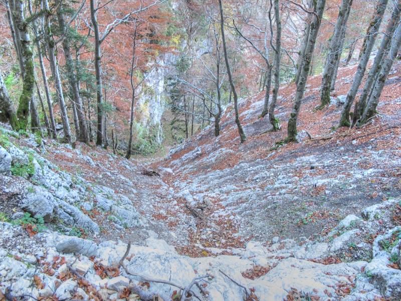 Steile Wänder der Schlucht