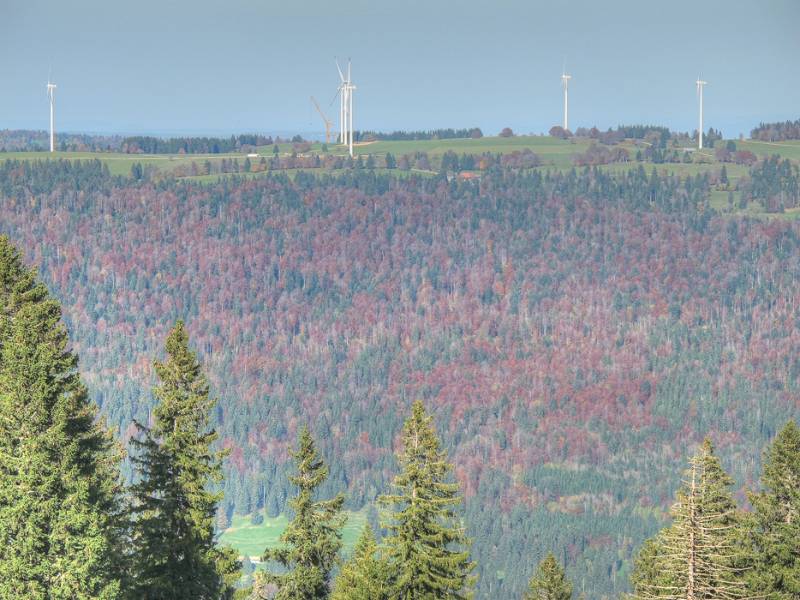 Die Windkraftanlagen auf dem Hang gegenüber