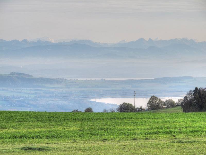 Schöne Aussichte auf die Alpen über Neuenburger- und Murtner See