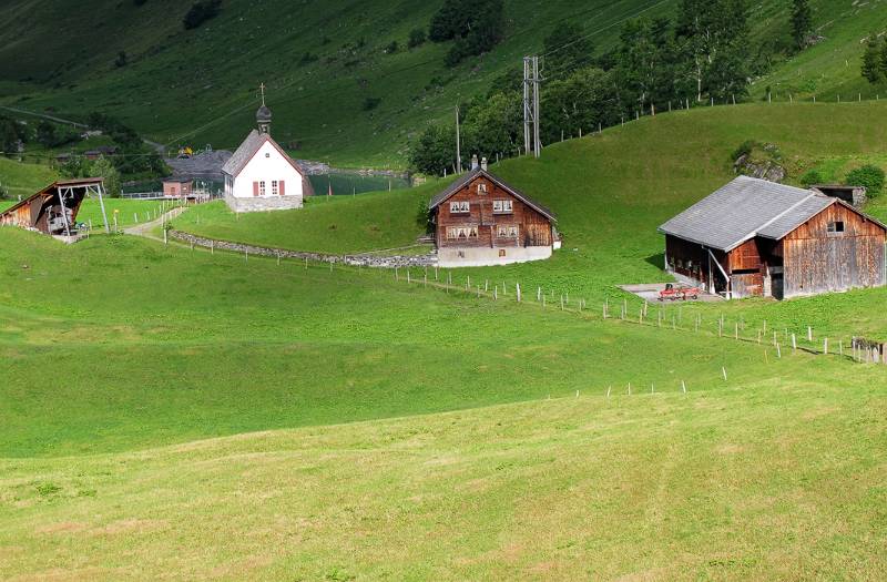 Waldnachter Bergen