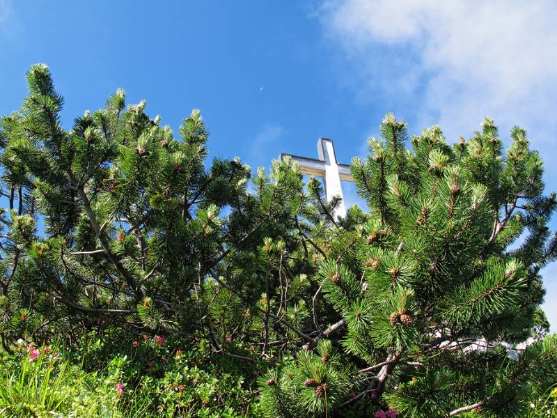 Auf dem Geissberggrätli