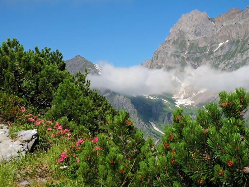 Surenenpass von Geissberggrätli aus