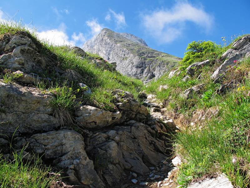 Blick Richtung Hoch Geissberg