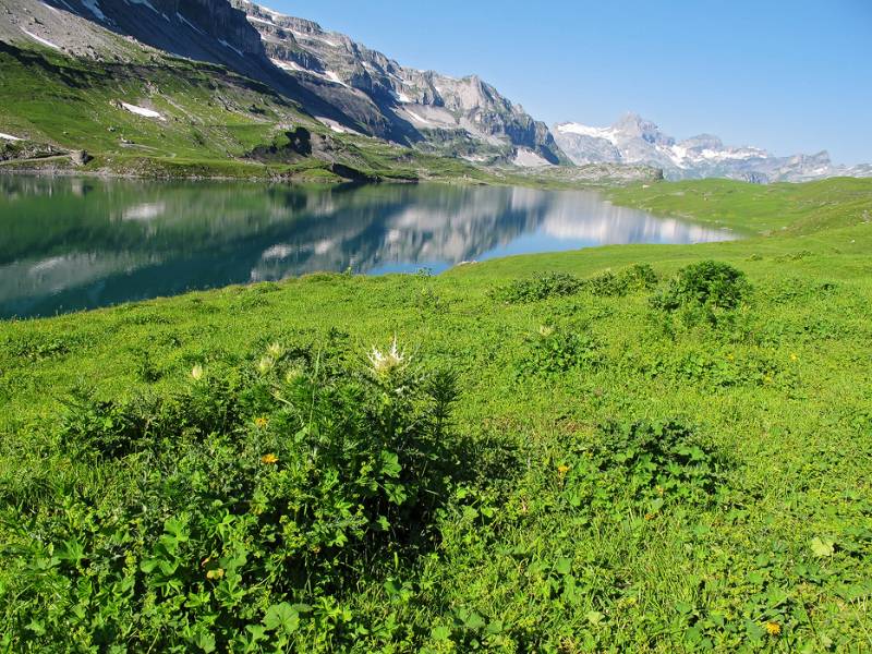 Erster Blick auf Glattalpsee