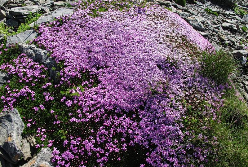 Bunte Farben in kargem Gelände