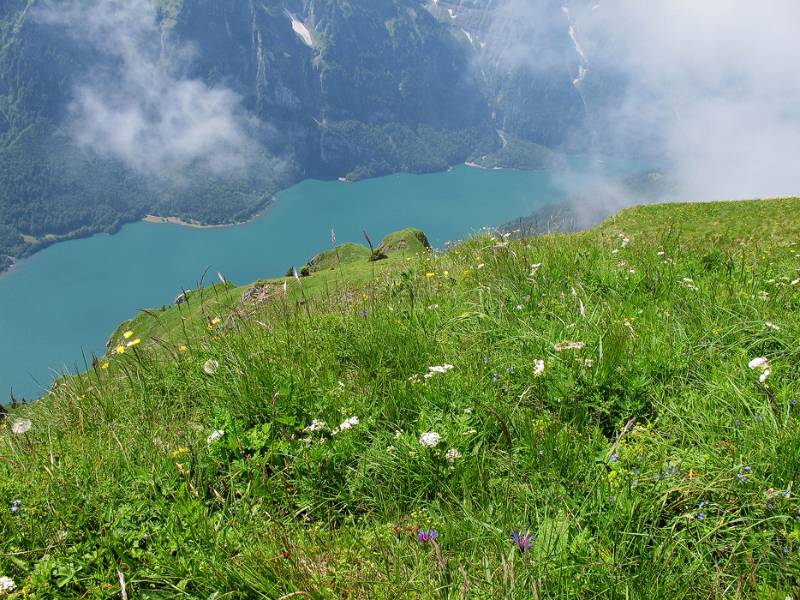 Der grüne Gipfel mit Klöntalersee unten