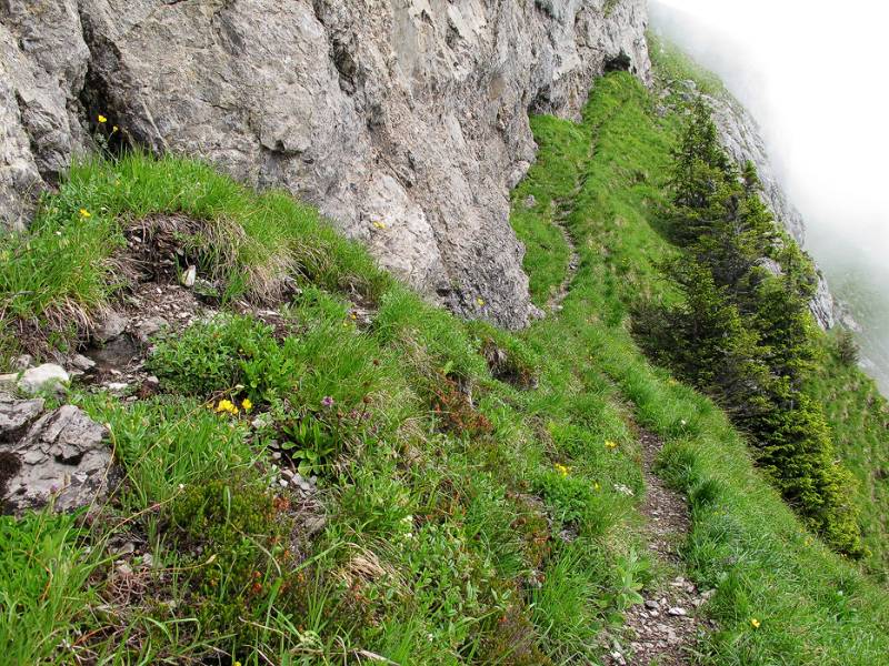 Der Wanderweg entlang der Felsenwand