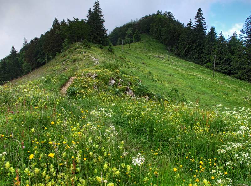 Auf den Grat angekommen, weiter geht's nur lansam aufsteigend