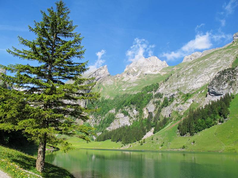 Entlang von Seealpsee